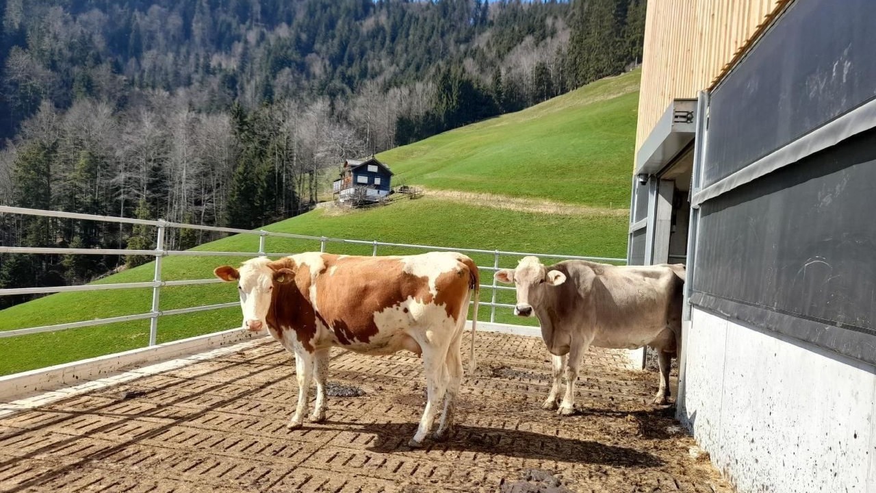 Photo of Others in Neckertal