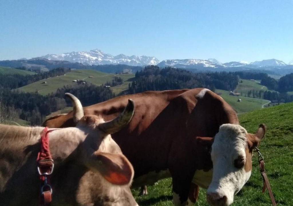 Photo of Others in Neckertal