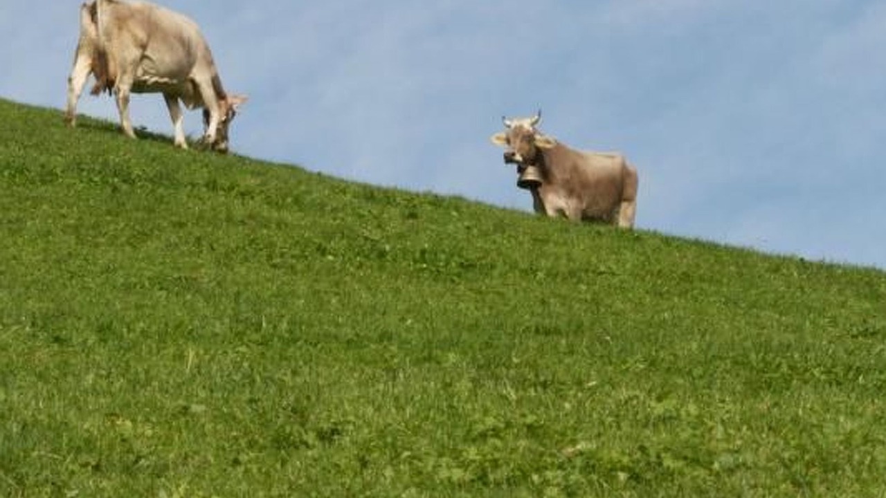 Photo of Others in Neckertal