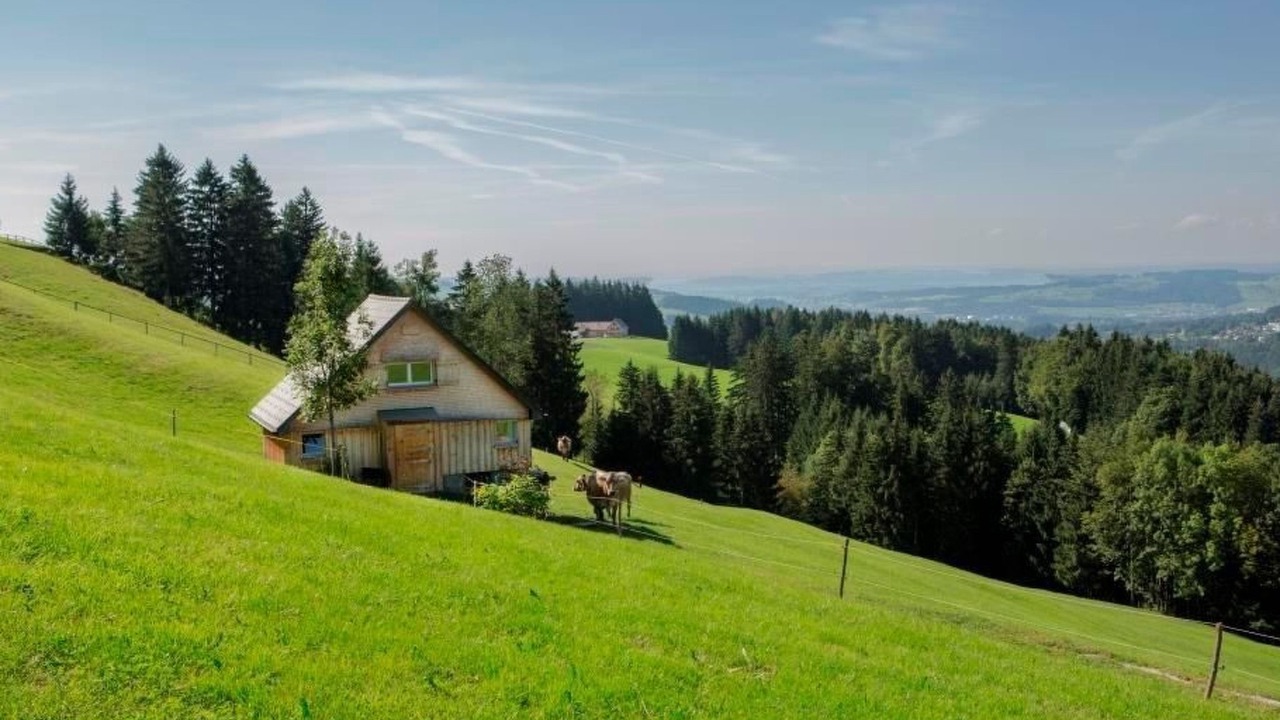 Photo of Outdoor in Schlatt-Haslen