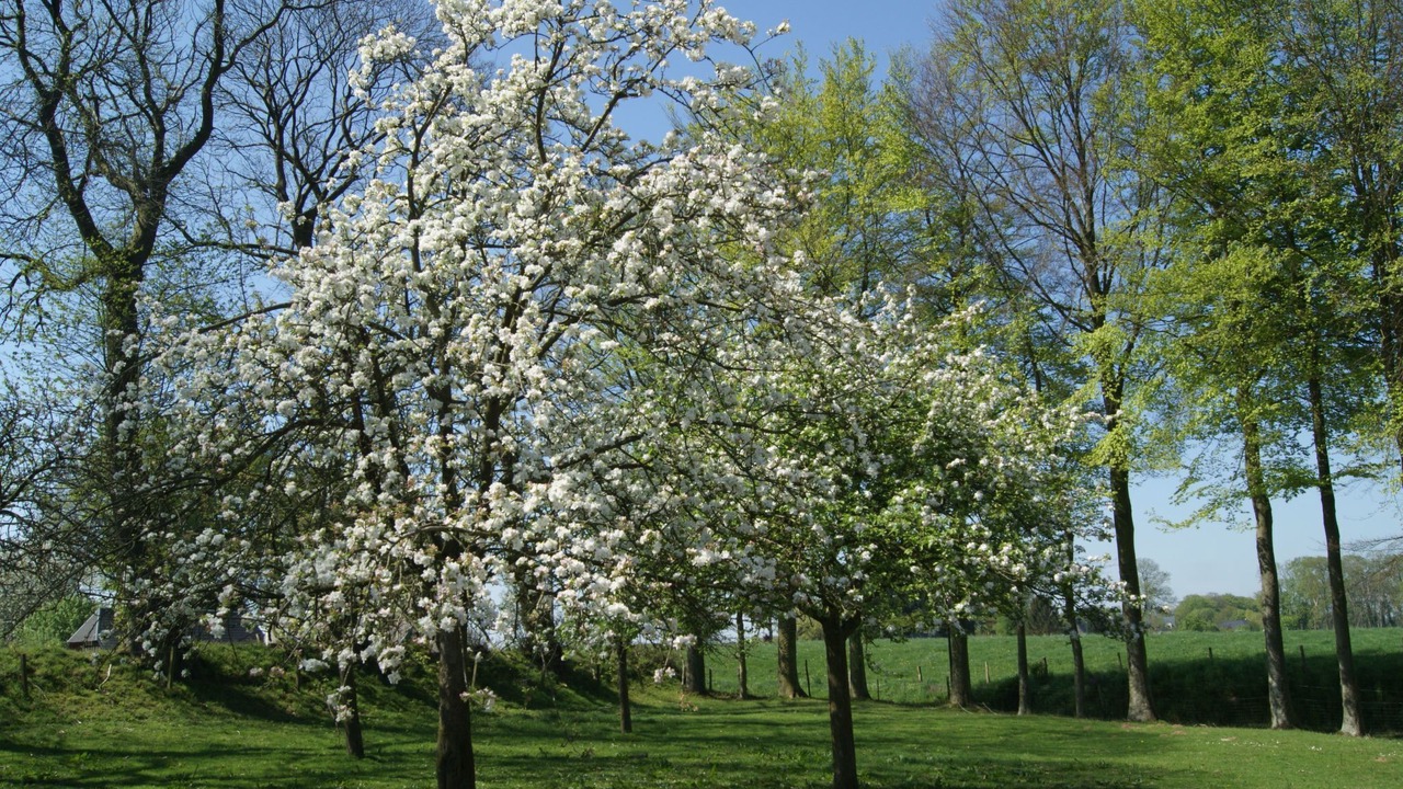 Photo of Others in Bretteville-du-Grand Caux