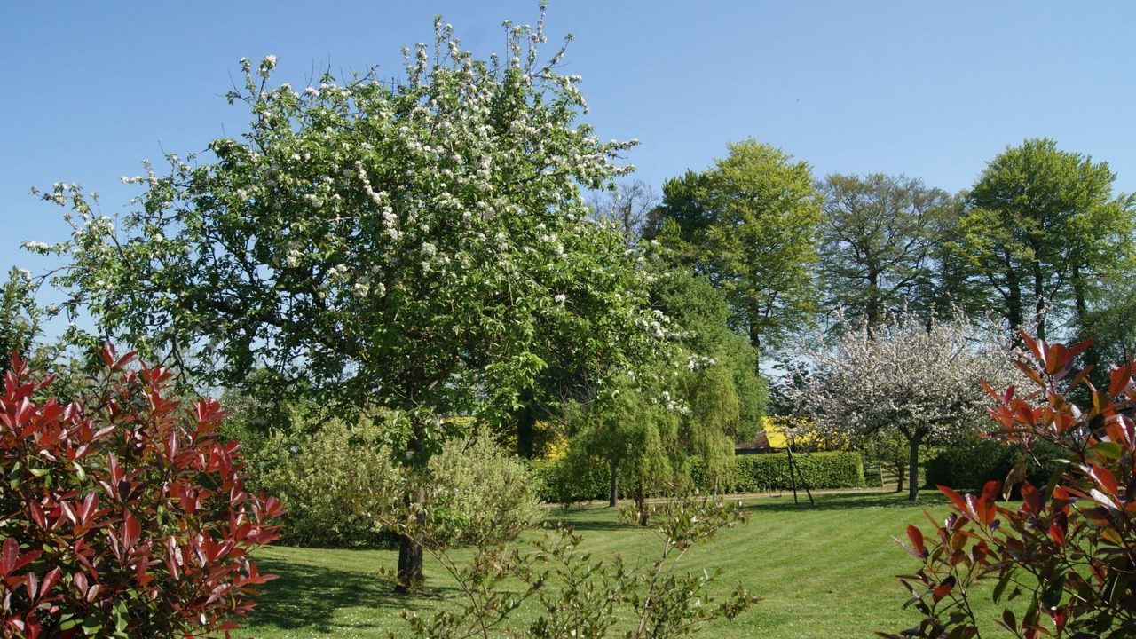 Photo of Others in Bretteville-du-Grand Caux