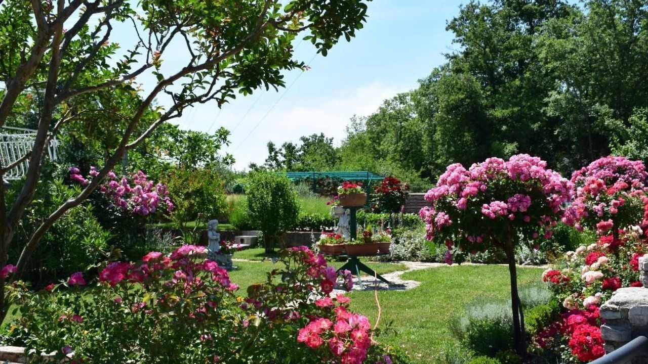 Photo of Outdoor in Vinez