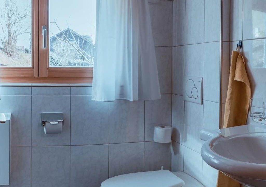 Photo of Bathroom in Atzmaennig