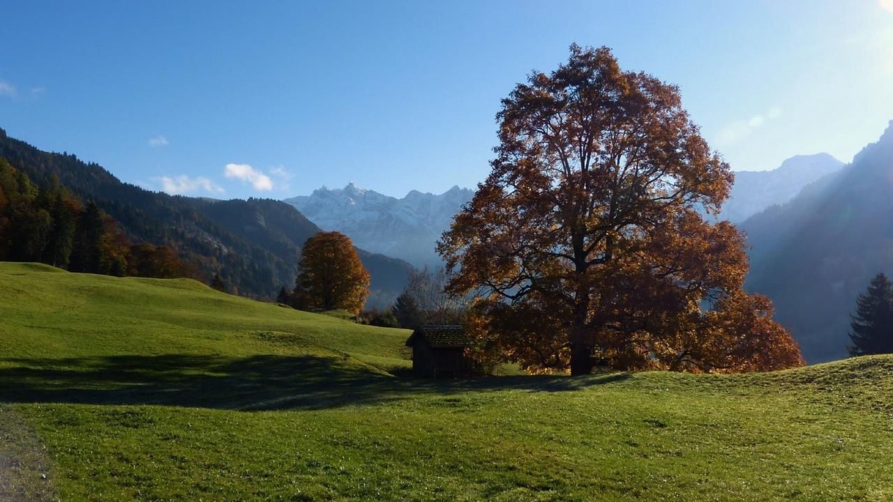Photo of Others in Nesslau-Krummenau