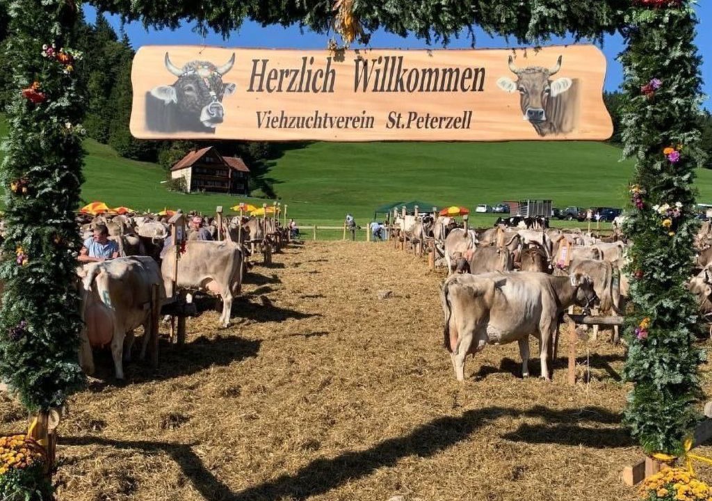 Photo of Others in Neckertal