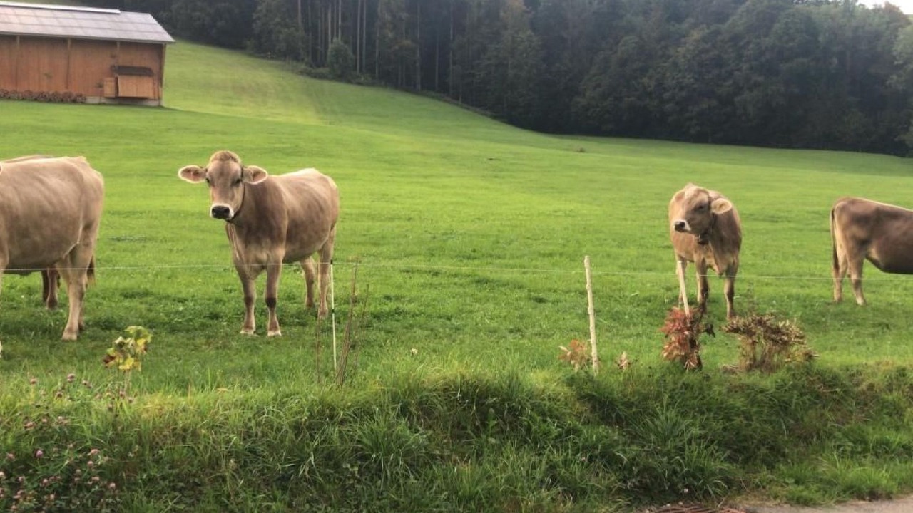 Photo of Others in Neckertal
