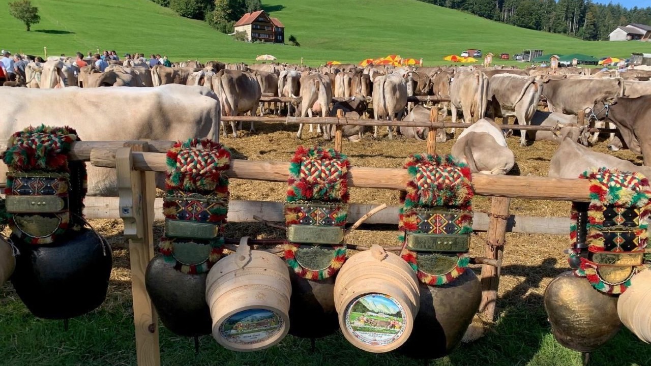 Photo of Others in Neckertal