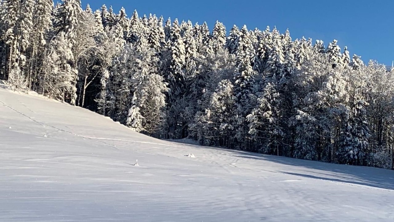 Photo of Others in Neckertal