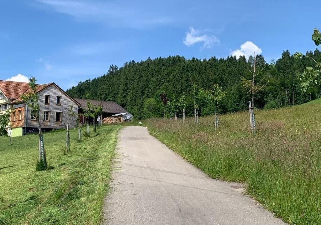 Photo of Others in Neckertal