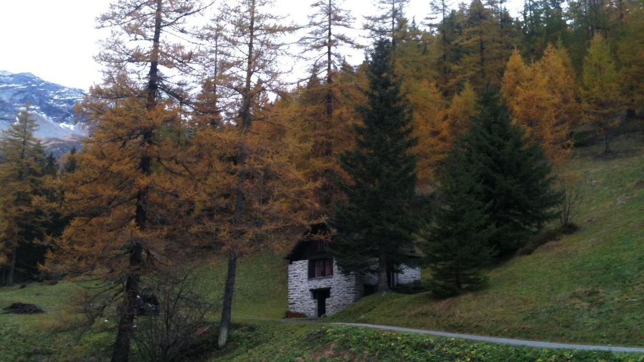 Photo of Outdoor in Bosco Gurin