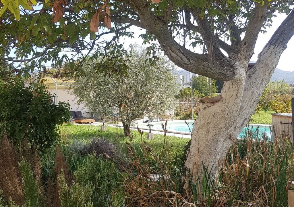 Photo of Outdoor in Violes