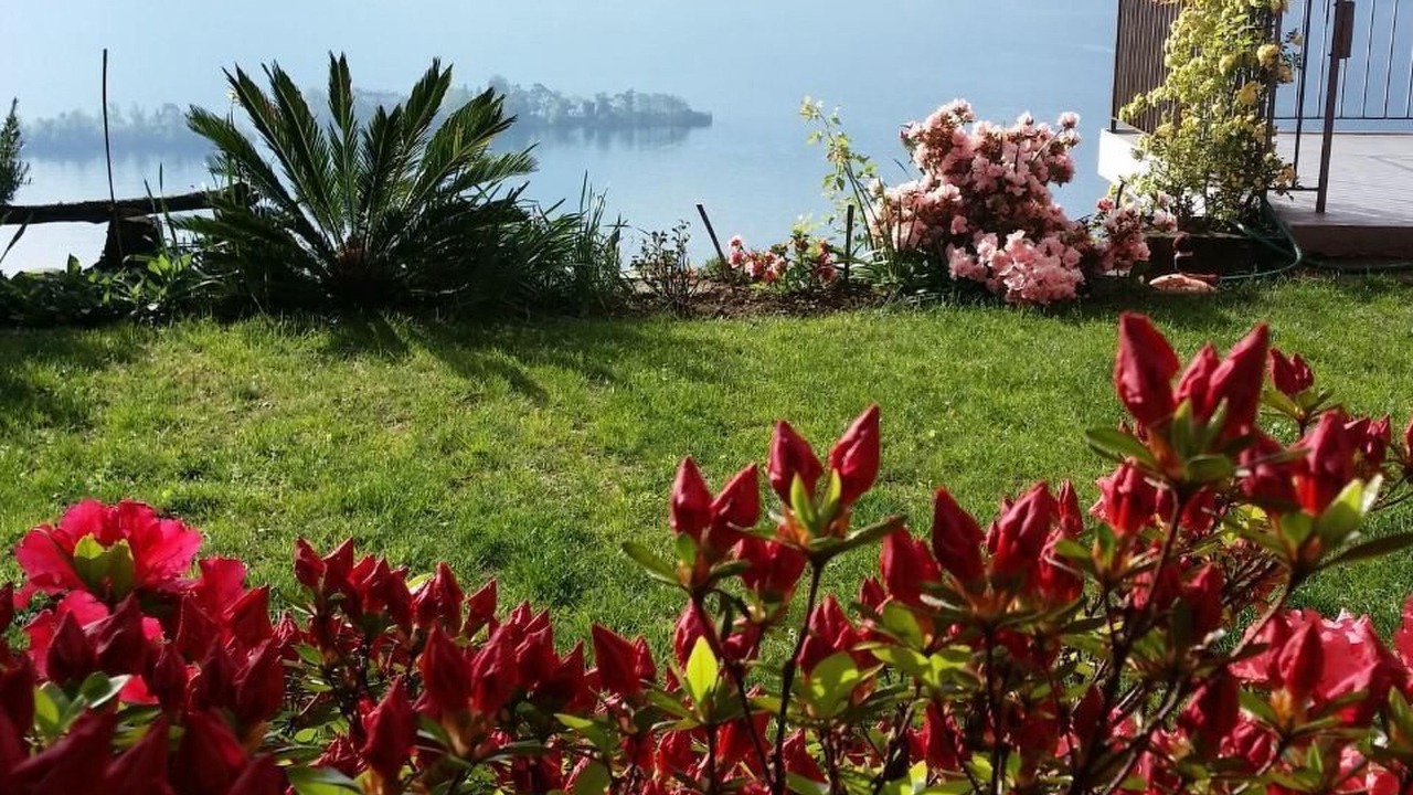 Photo of Outdoor in Porto Ronco