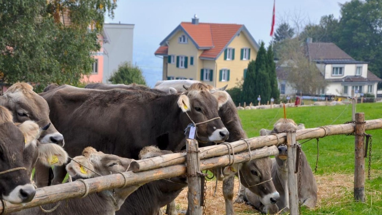 Photo of Others in Wolfhalden