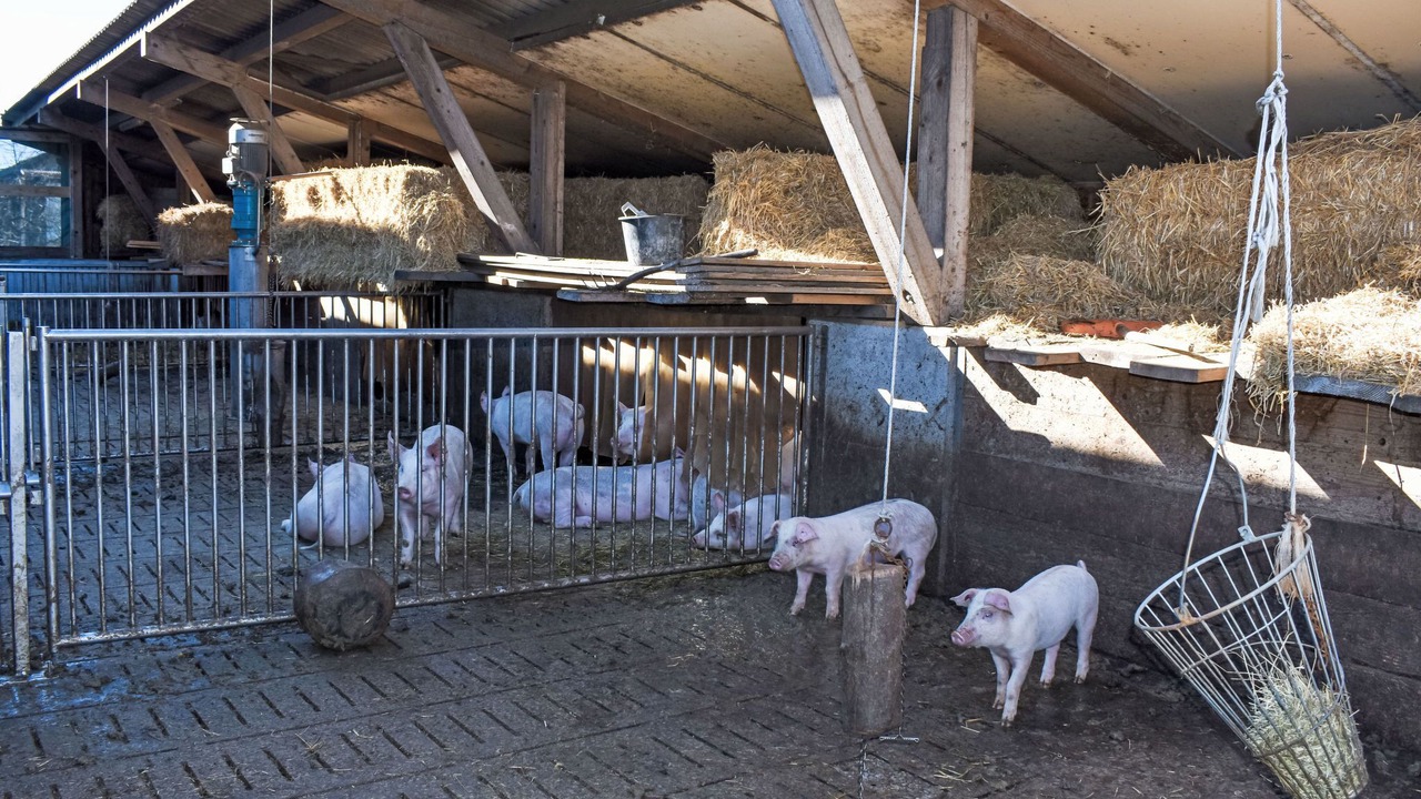 Photo of Others in Hemberg
