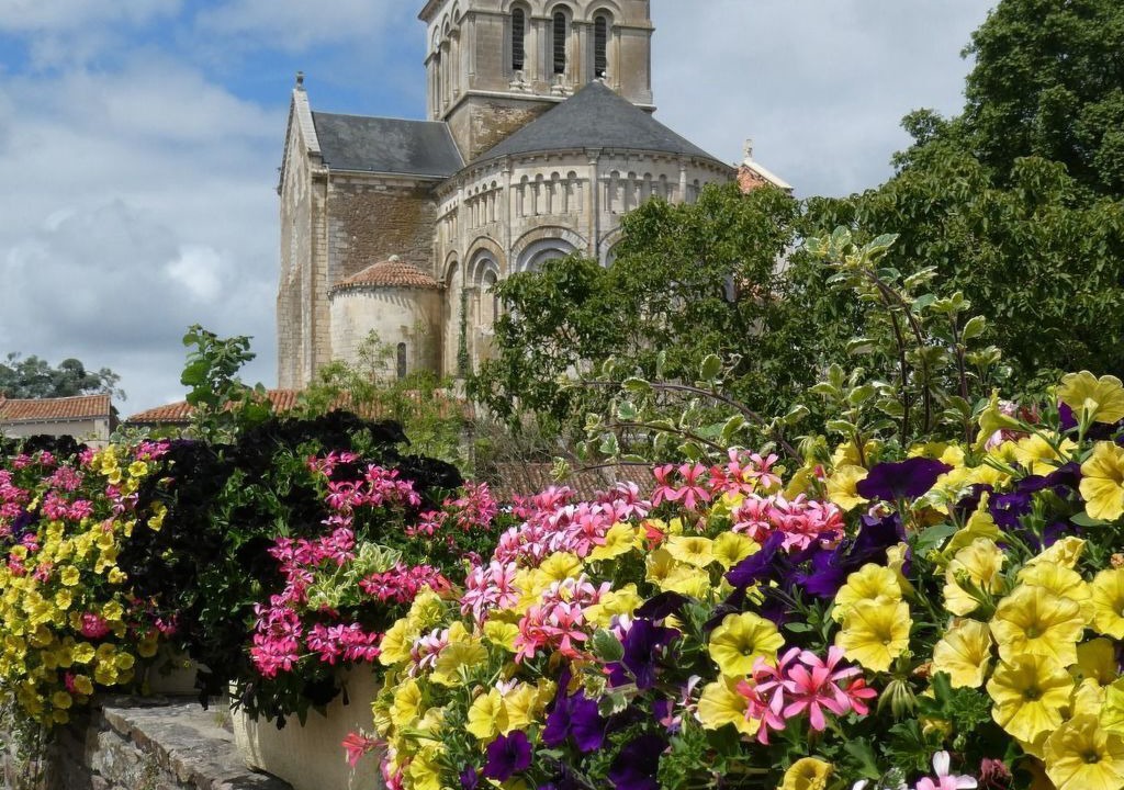 Photo of Others in Mareuil-Sur-Lay-Dissais
