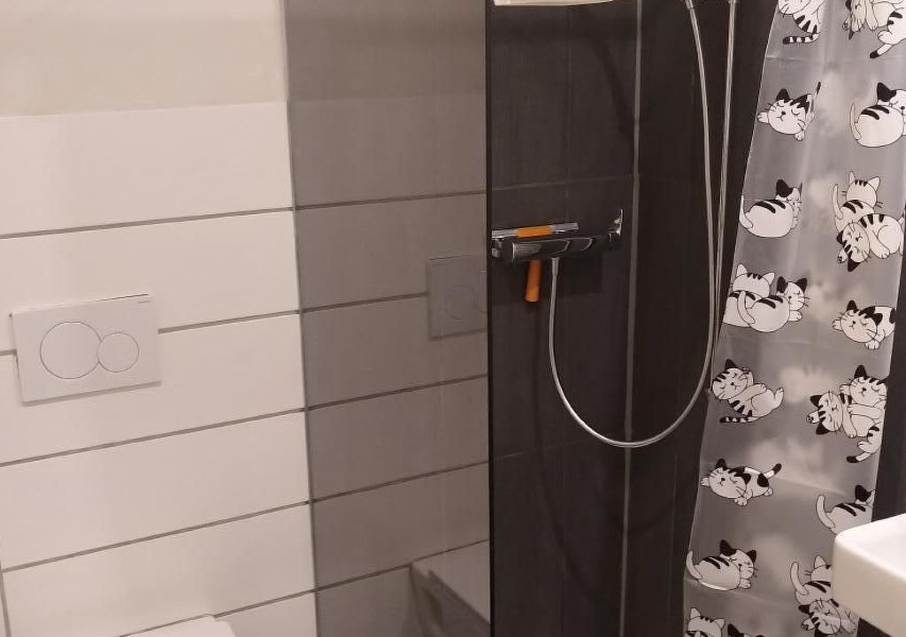 Photo of Bathroom in Praz