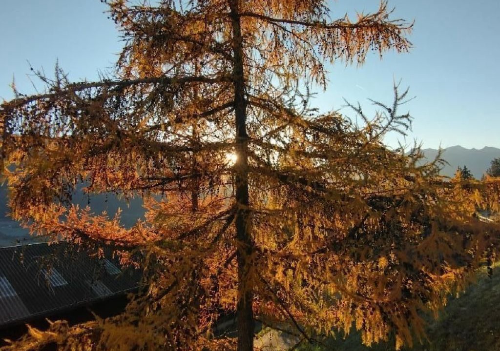 Photo of Others in Praz