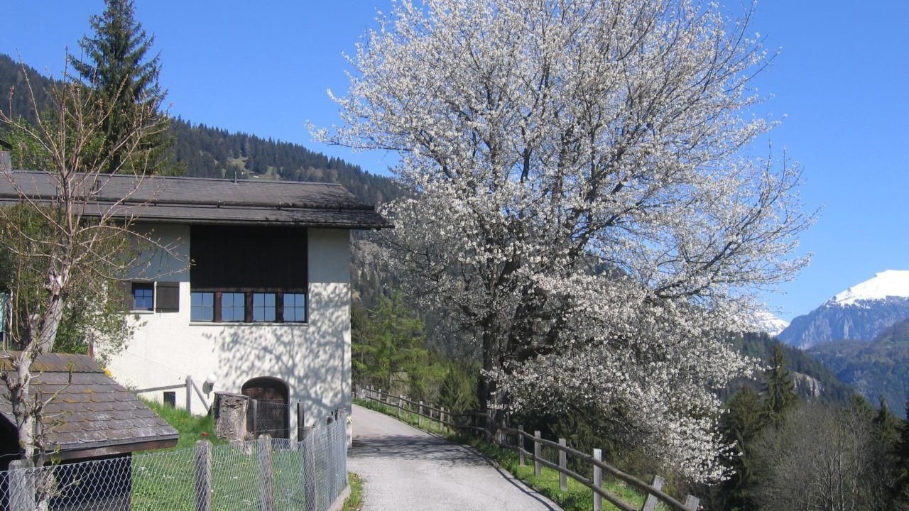 Photo of Outdoor in Praz