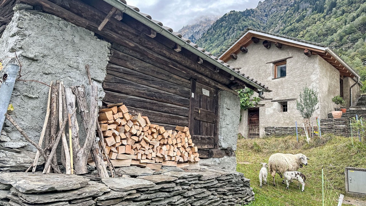 Photo of Others in Mesocco