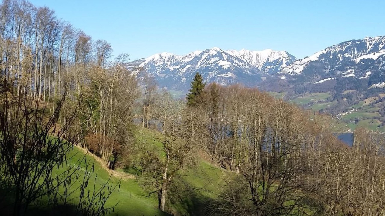 Photo of Others in Giswil