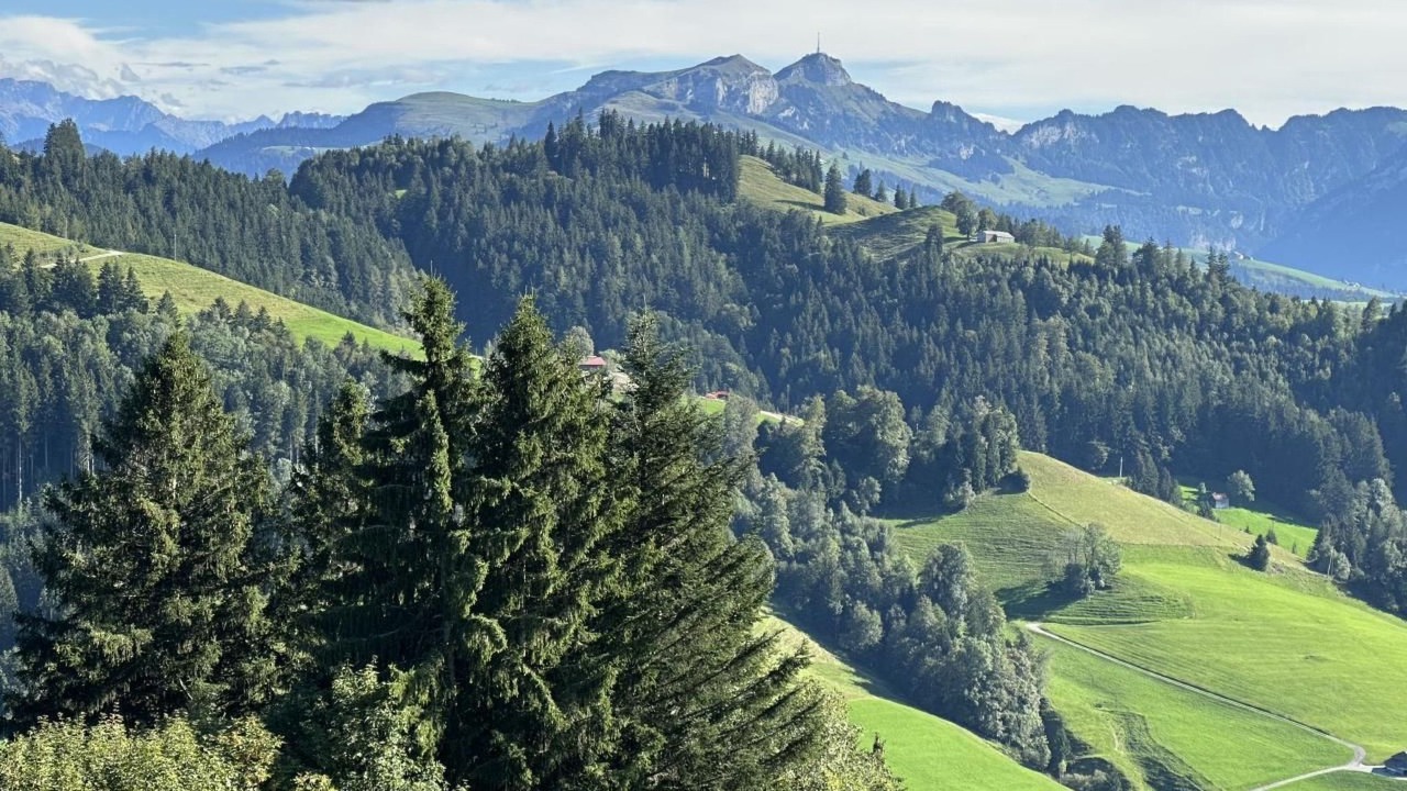 Photo of Others in Trogen