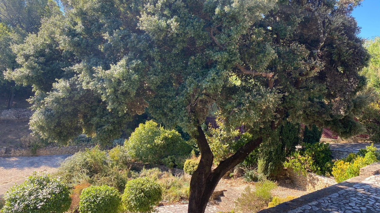 Photo of Others in Bagnols-sur-Ceze