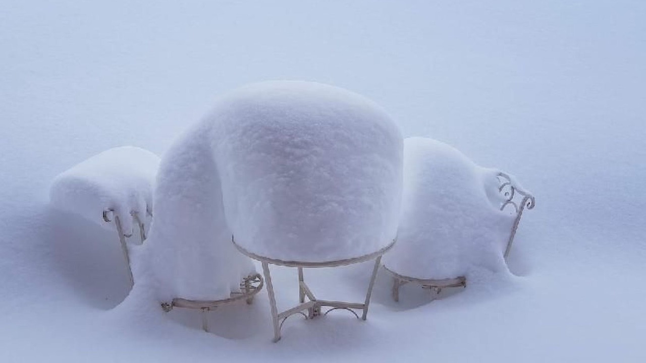 Photo of Others in Axalp