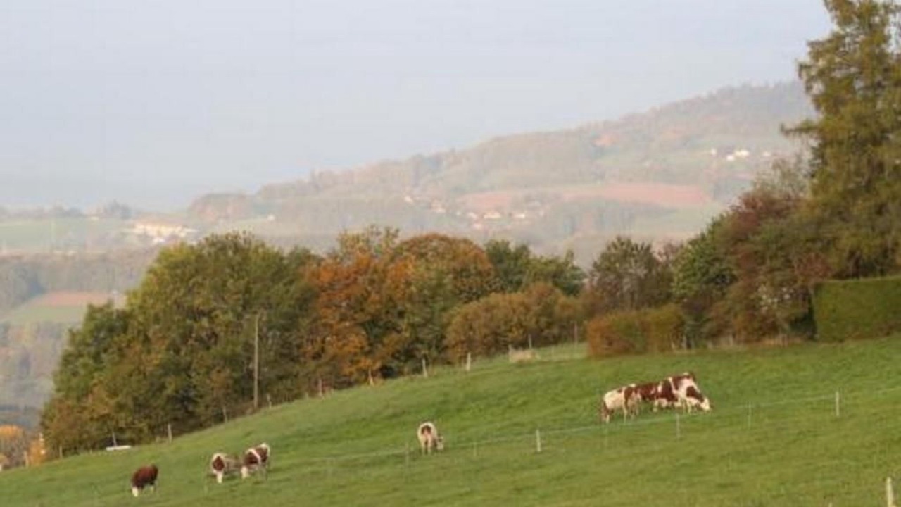 Photo of Others in Chardonne