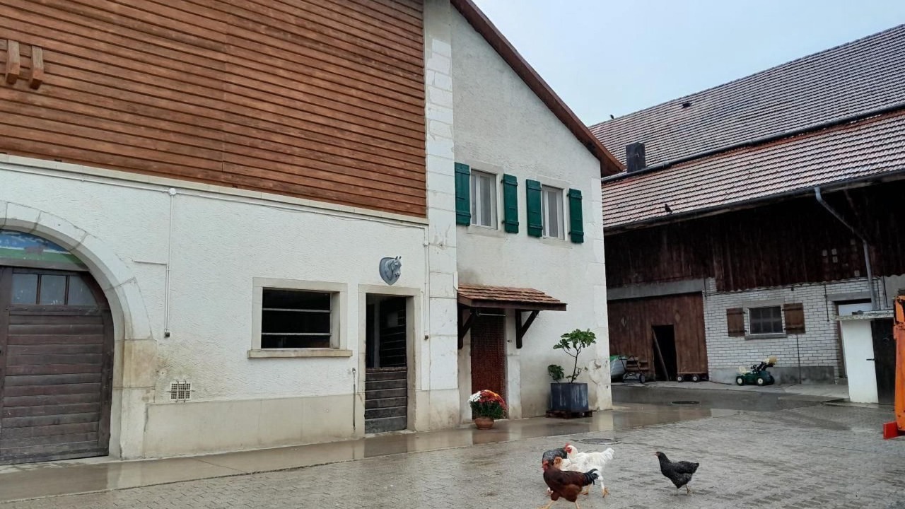 Photo of Outdoor in Luins
