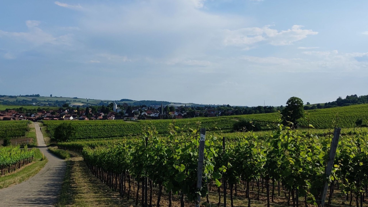 Photo of Others in Wissembourg