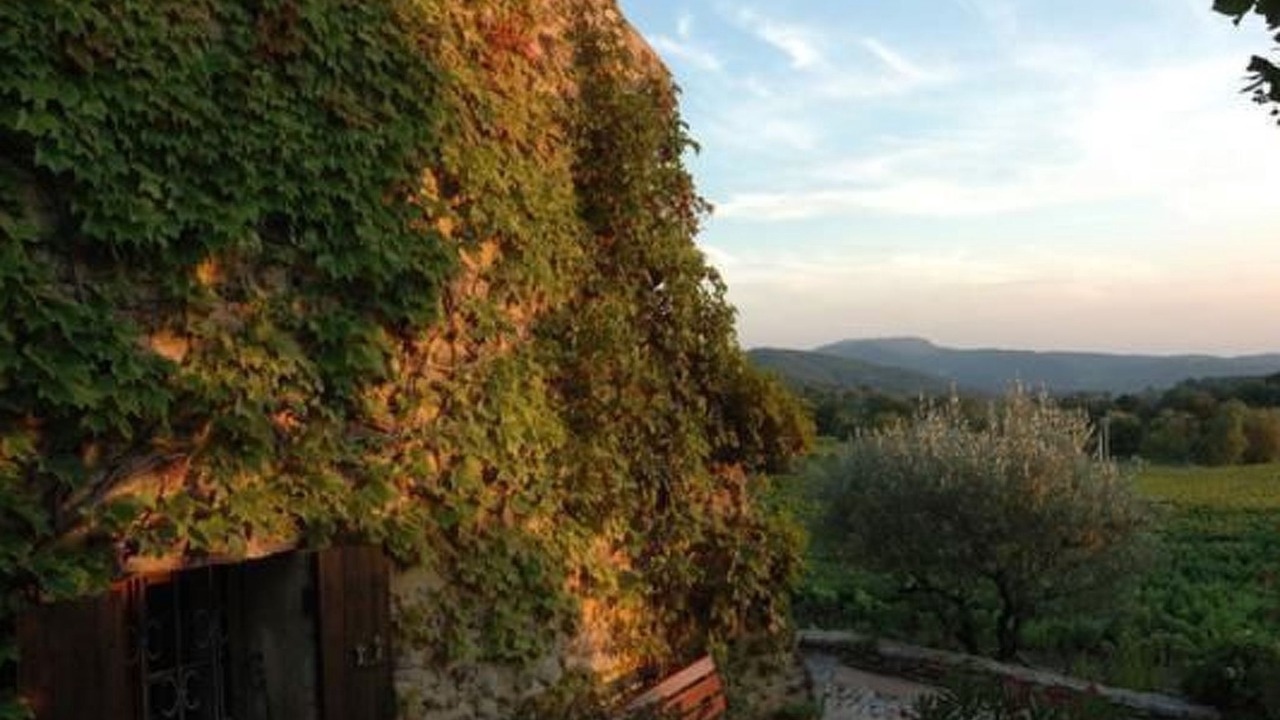 Photo of Others in Puymeras