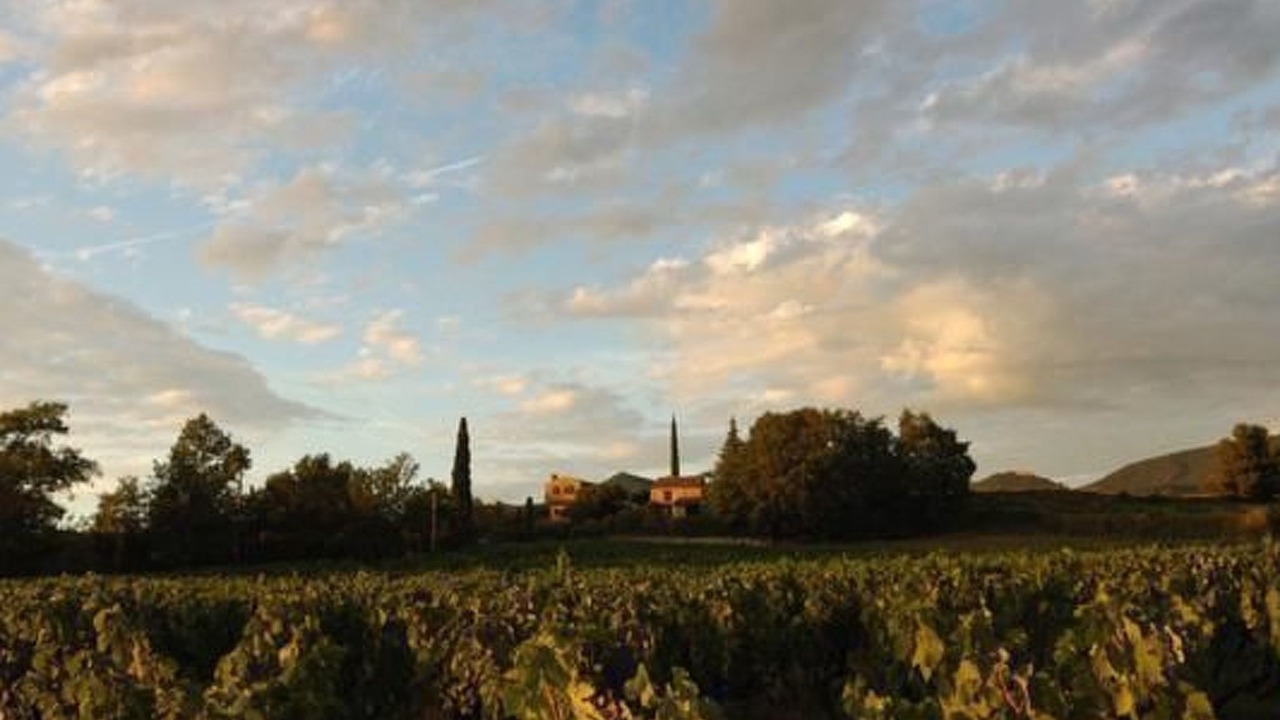 Photo of Others in Puymeras