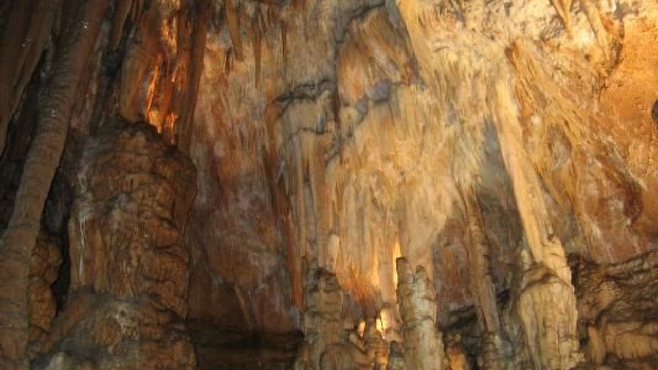 Photo of Others in Puymeras