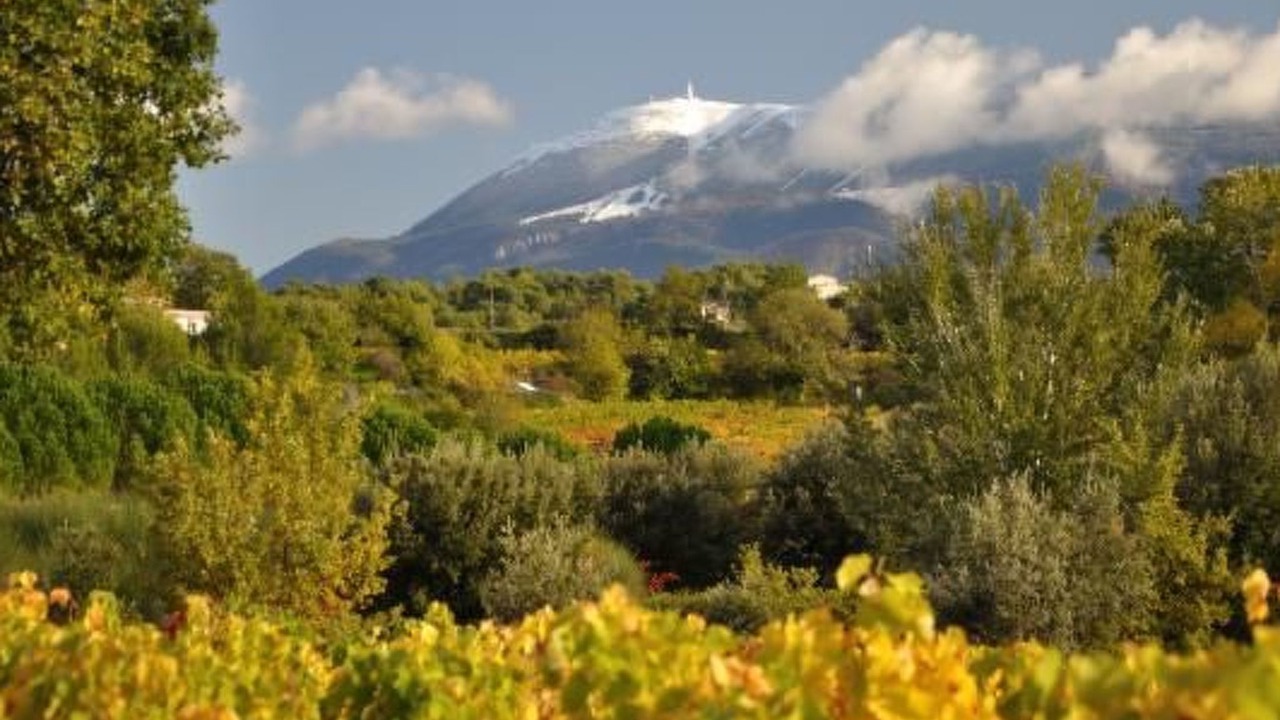 Photo of Others in Puymeras