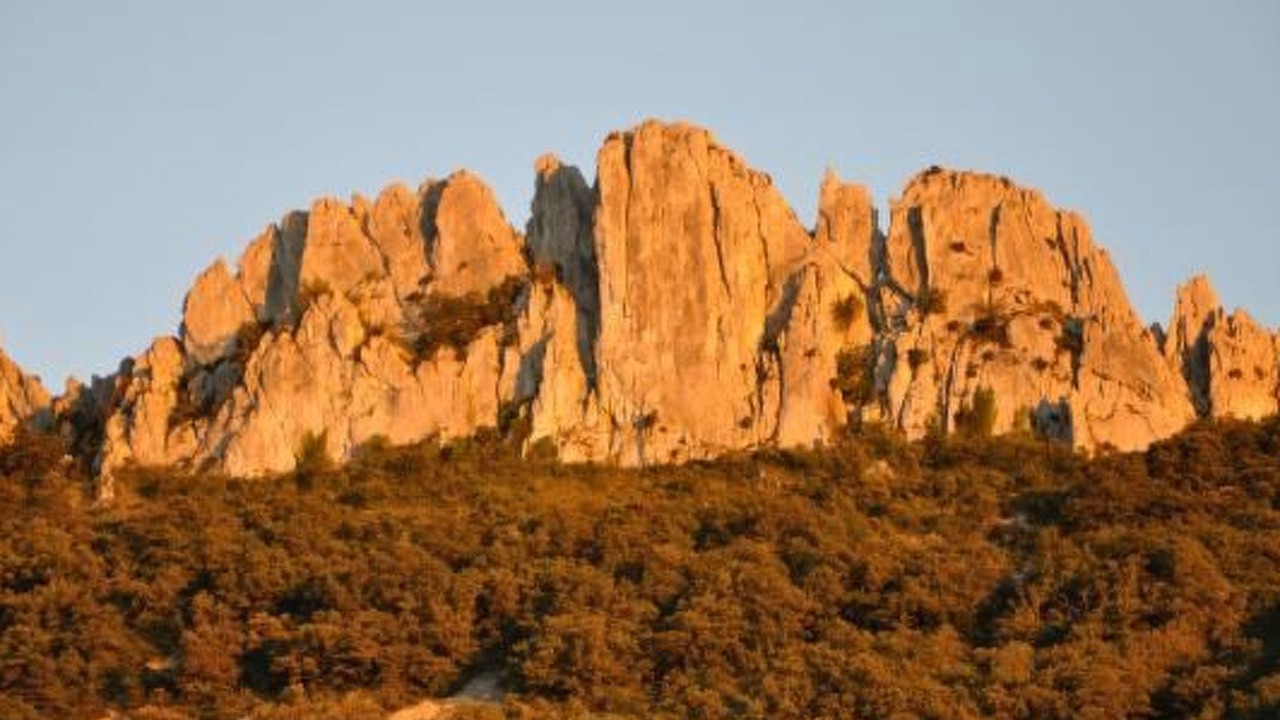 Photo of Others in Puymeras