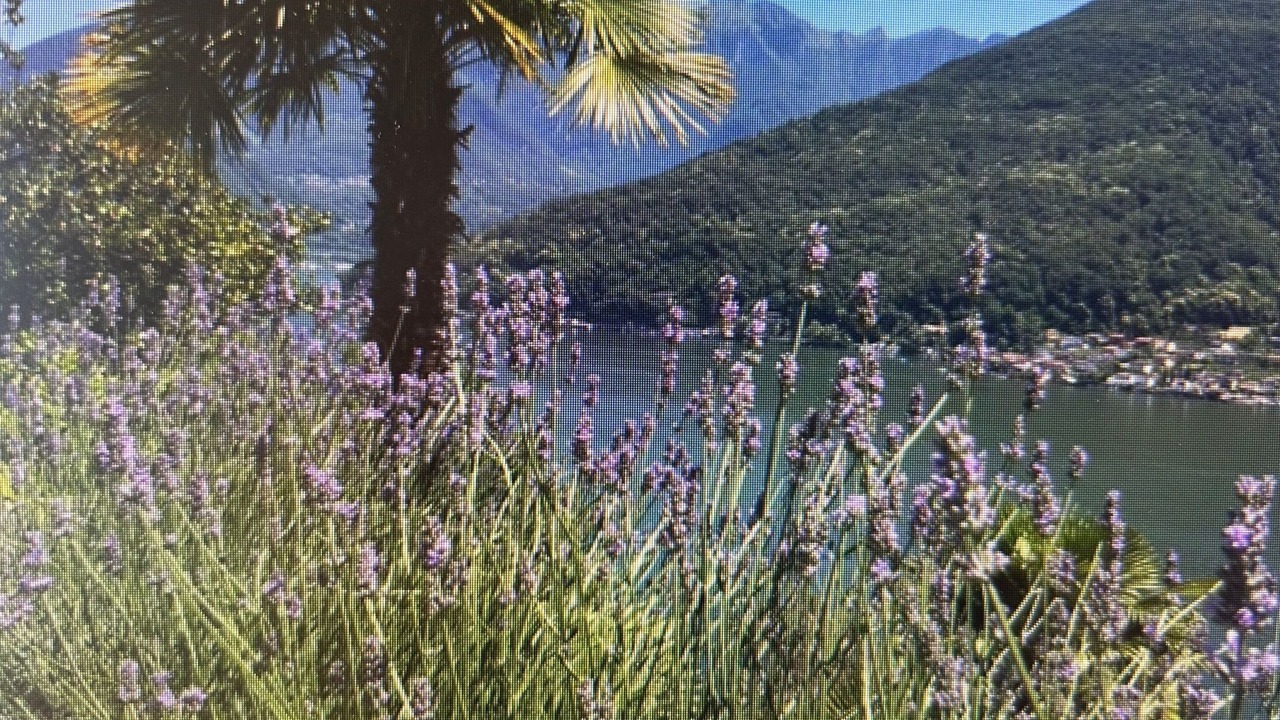 Photo of Others in Vico Morcote