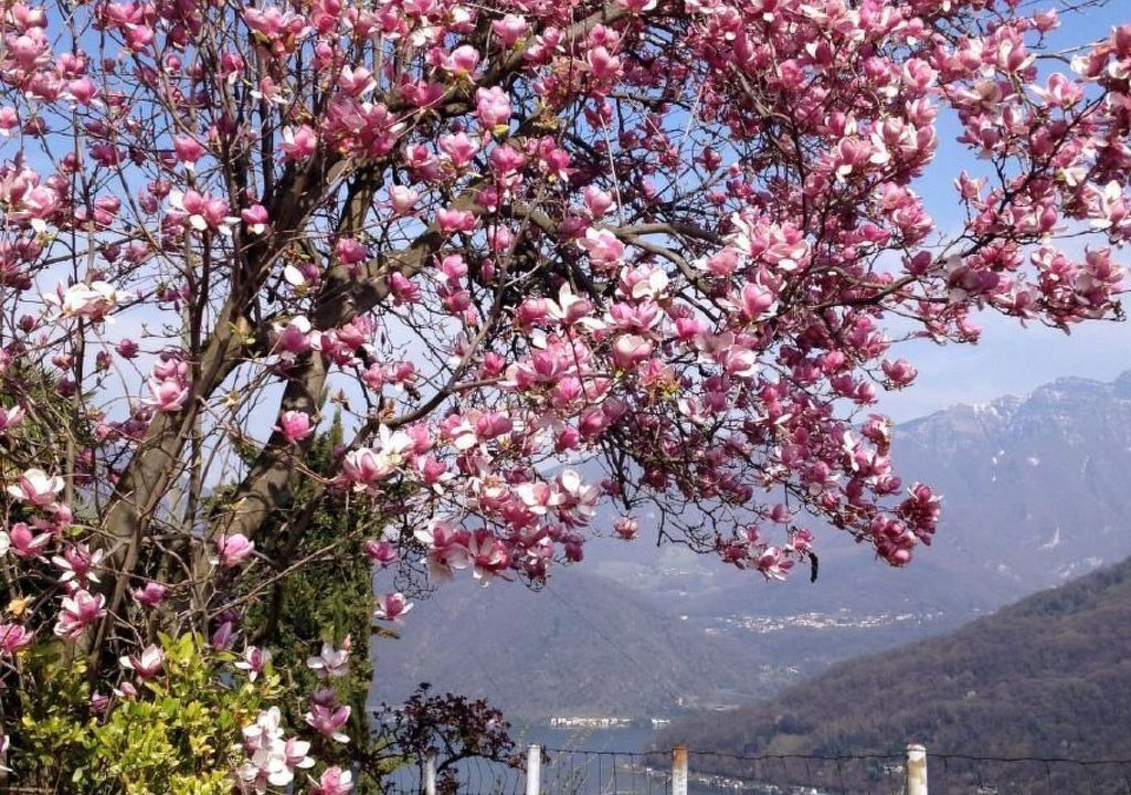 Photo of Others in Vico Morcote