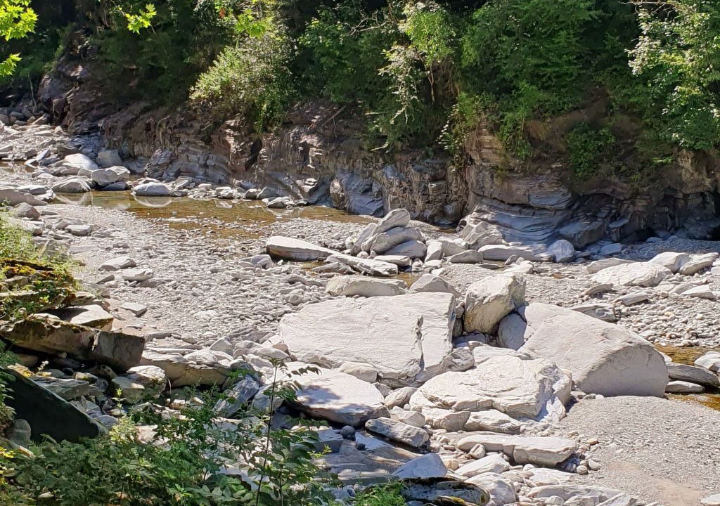 Photo of Others in Foroglio