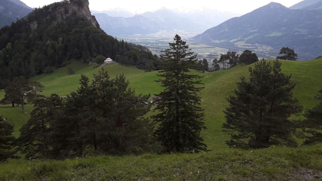 Photo of Others in Maienfeld