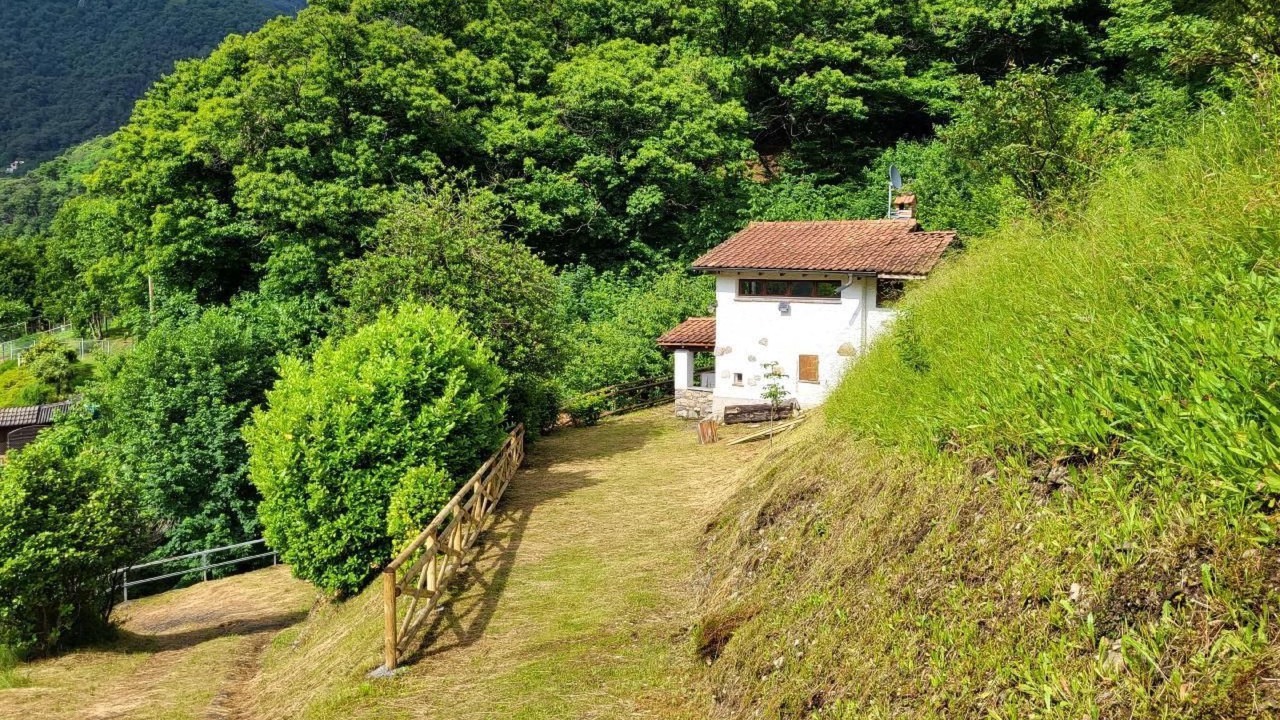 Photo of Others in Monteceneri