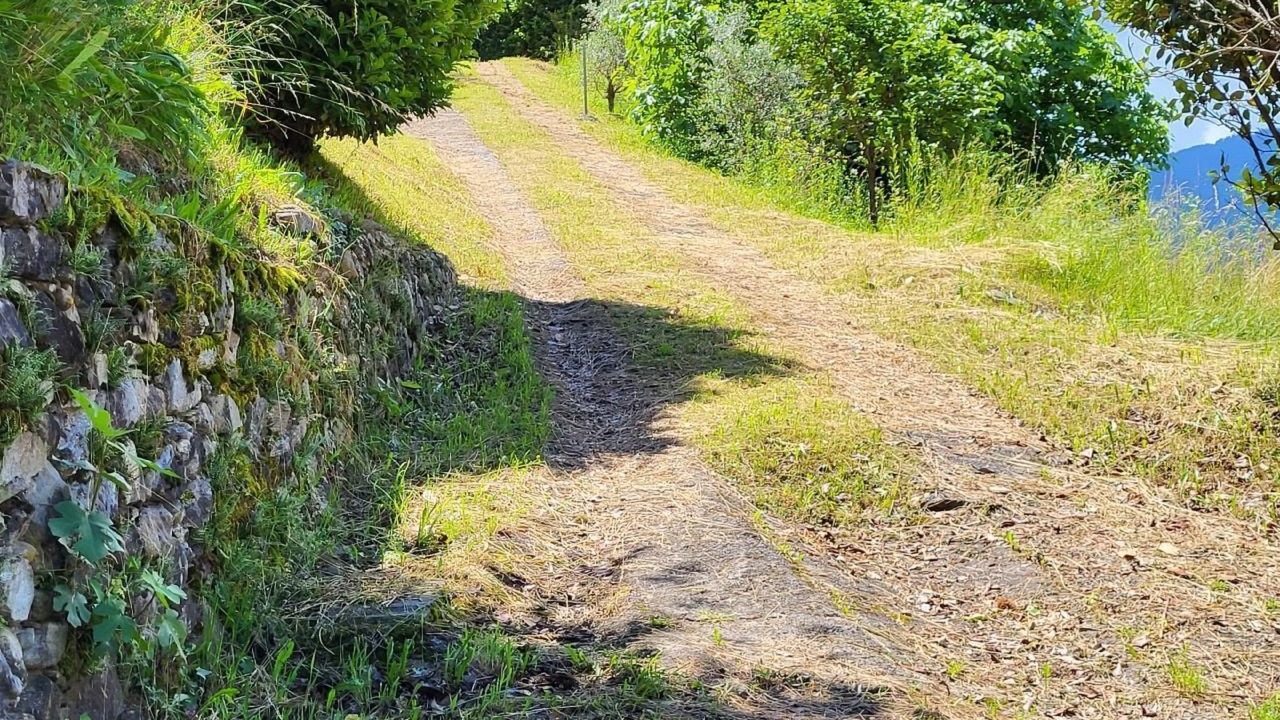 Photo of Others in Monteceneri