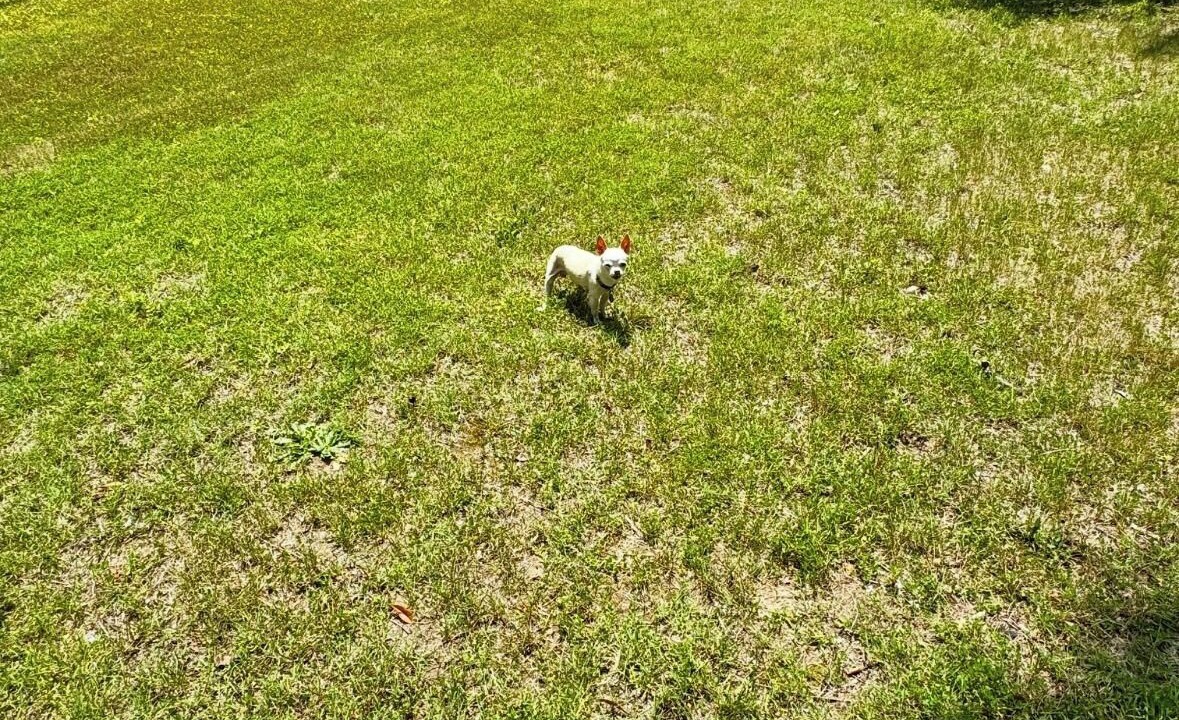 Photo of Outdoor in Westover Hills West