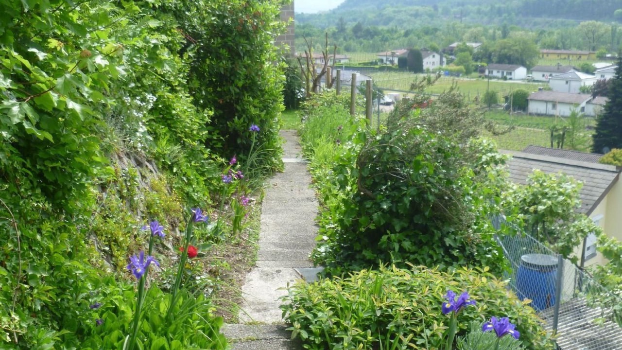 Photo of Outdoor in Terre di Pedemonte