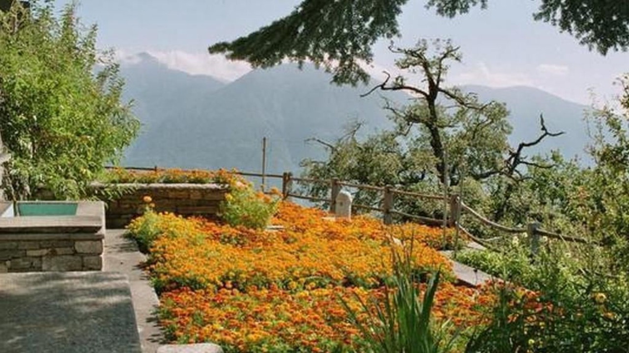 Photo of Outdoor in Orselina