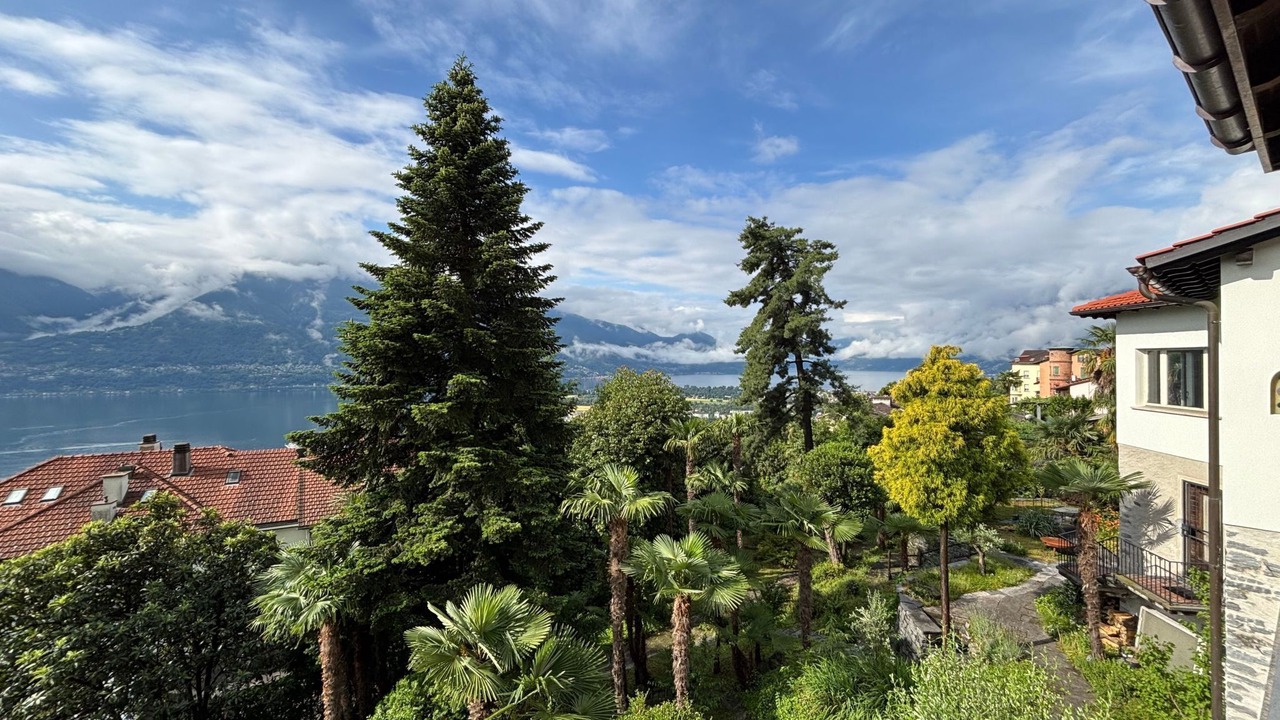 Photo of Others in Orselina