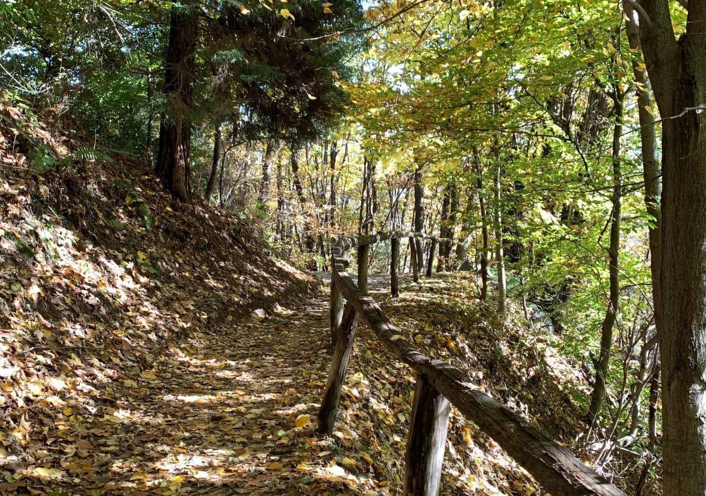 Photo of Others in Orselina