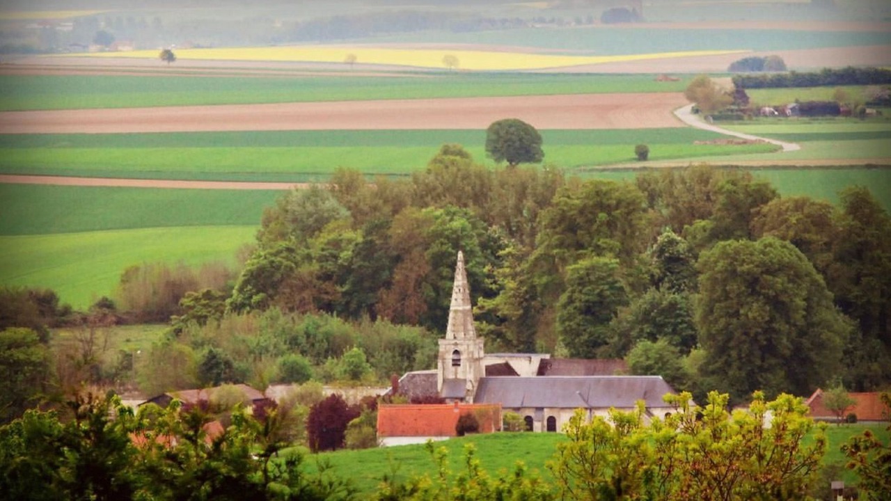 Photo of Others in Mont-Saint-Eloi