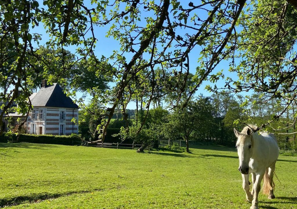 Photo of Others in Bretteville-du-Grand Caux