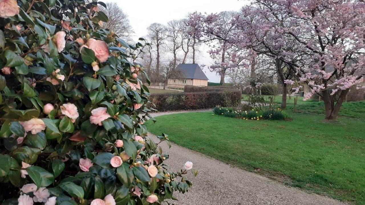 Photo of Others in Bretteville-du-Grand Caux